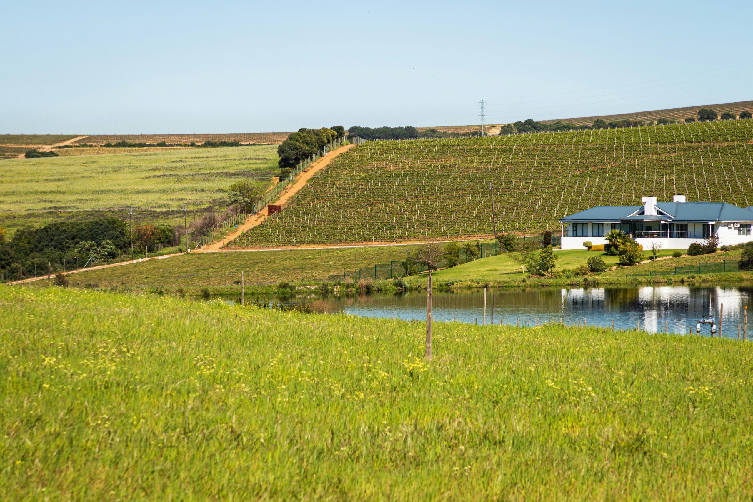 Top 5 Reasons to Support Local Businesses in Durbanville